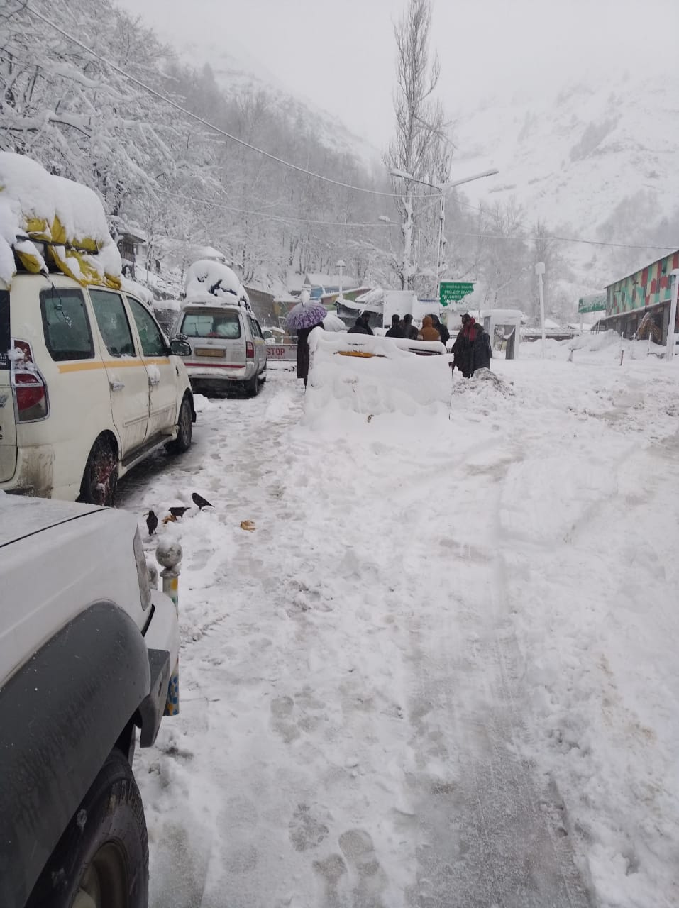 Higher reaches of J&K receive fresh snowfall – JK Post